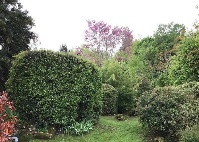 Beautiful House Montayral